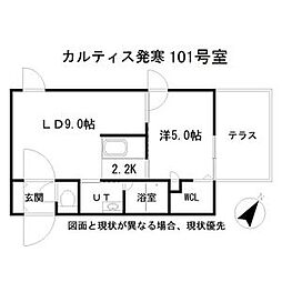 CURTIS HASSAMU(カルティス発寒) 101