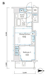 Ｃａｒｔｏｌｅｒｉａ 402