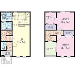 グラン・ドゥ・ソレイユ向日葵 C