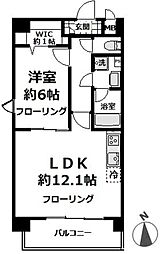 ロス・シンコ・ソラール 203