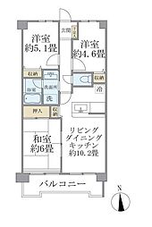 エマーレ保谷 204