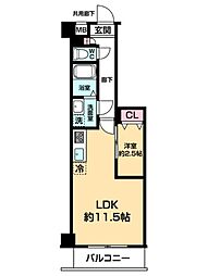 ARCOBALENO DAISHIMAE 502