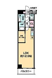 ARCOBALENO DAISHIMAE 204