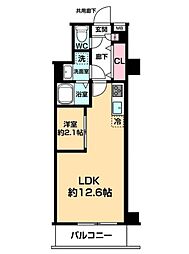 ARCOBALENO DAISHIMAE 309
