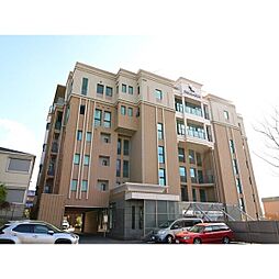 パクスフォーレ 502