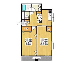 ファーストアオキ 305