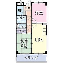 Fine　Oasis　Amyy 101