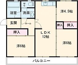 ディモルフォセカ 401