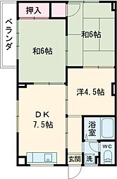 ヴィリジアンタワー 502