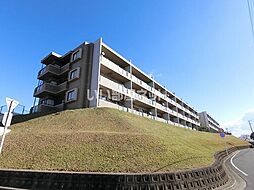 サンマンションアトレ潮見が丘 206