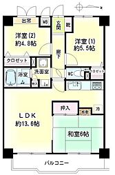 ロイヤルシーダ 207