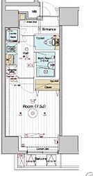 ベルグレードHJ 301