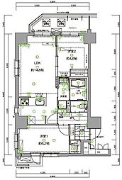 Ｔｒａｉｌ大濠 601
