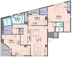 ジャカランダ 401