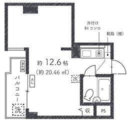 ロイヤル河原町五条 301
