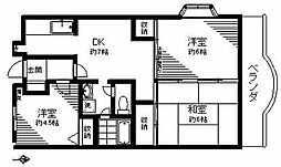 コンフォールクレール 301
