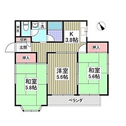 ベルハイム白金 203