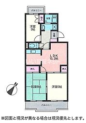 ホワイトハウス 202