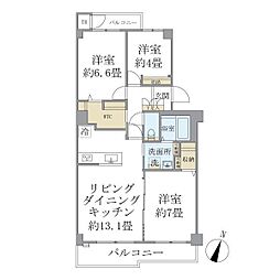 ＥＶＥＲＴＯＷ　Ｃｏｌｏｒｅ　ＳＥＮＧＥＮＤＡＩ 304