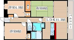 ロワールT・N 703