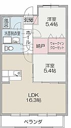 アルストロメリア 303