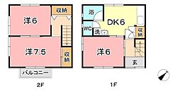 ブルーベリーはるか D 2