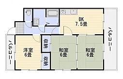 ハウスタカキ 104