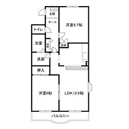 シャインエトワール 301