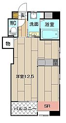 LUMINOUS　AI　清水 504