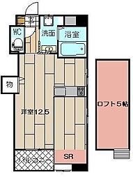 LUMINOUS　AI　清水 703