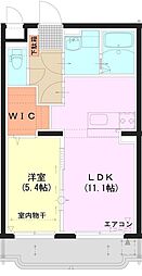 Ｆelizio（フェリーツィオ） 207