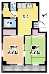 レトワール・ドゥ・フェ 202