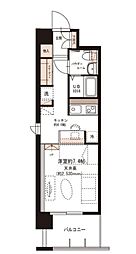 ｒｉｃｃｏ　ｃｏｌｌｉｎａ 504