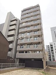 Ｒｏｓａ　Ｃａｎｄｏｒｅ 903