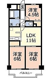 アルビオンマンション 303