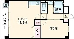 キャメルシード 202