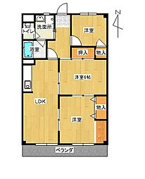 シャルムＴ・Ｍ 504