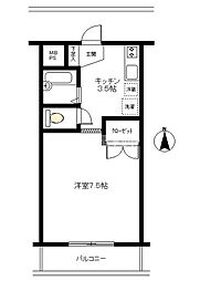 プティ・ソレイユ 303