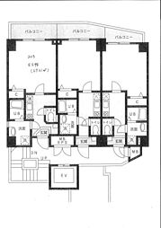 ヴェリタス・コート 203