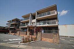 ラフィーネ（マリーゴールド） 101-ma