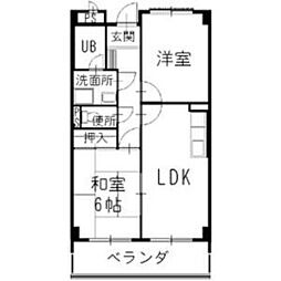 ファンタジア 207