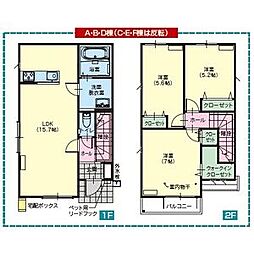 オクタヴィア D