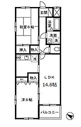 シルクトゥリー　Ａ 205