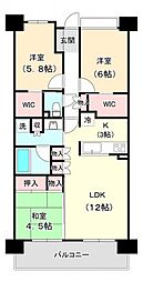 ポレスター津偕楽公園　302 302