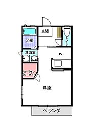 グレイスフルマロー 306