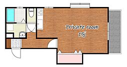 ドミール・ジュネス 202