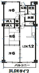 ハイメゾン北島 303