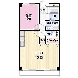 Fine　Oasis　Amyy 205