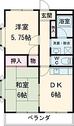 ライトオブハシモト 201