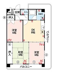 シャルムＯＫ 703